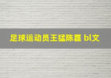 足球运动员王猛陈磊 bl文